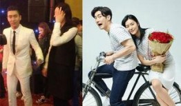 热销夫妇爆料视频大全最新,揭秘明星夫妻甜蜜瞬间与幕后故事