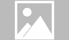 最新洋迪cp会长爆料,揭秘洋迪组合背后的甜蜜故事