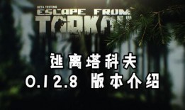 塔科夫最新版本更新爆料,全新内容与优化，带你领略生存游戏的极致体验