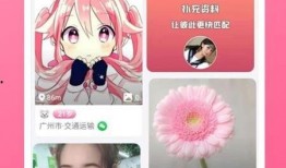 十周年最新爆料视频下载,最新爆料视频深度解析